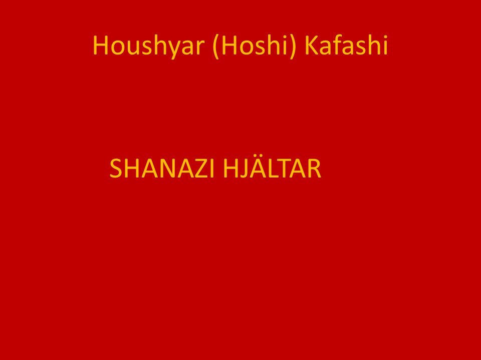 Houshyar (Hoshi) Kafashi