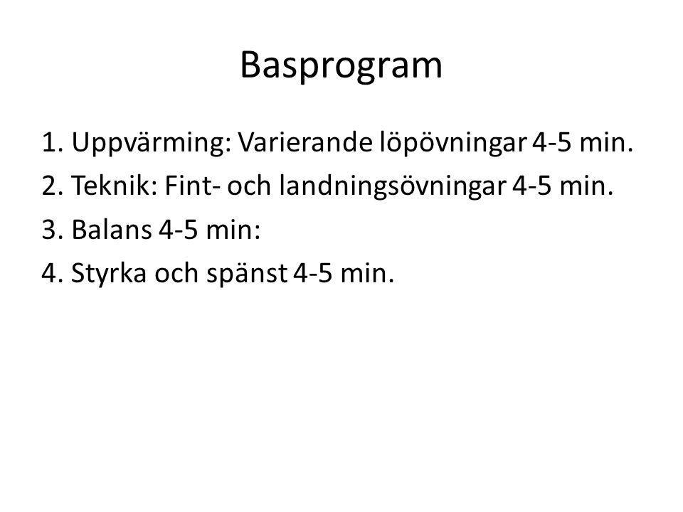 Basprogram