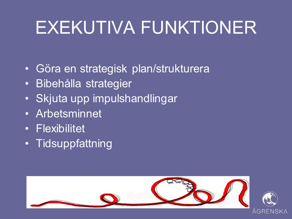 EXEKUTIVA FUNKTIONER Göra en strategisk plan/strukturera