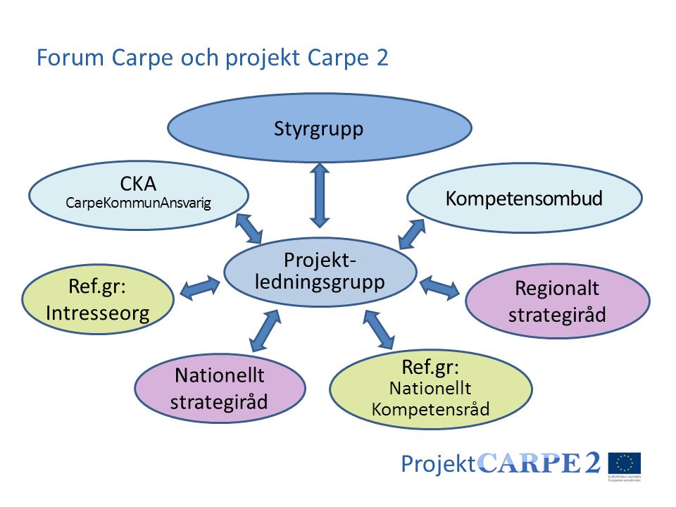 Forum Carpe och projekt Carpe 2