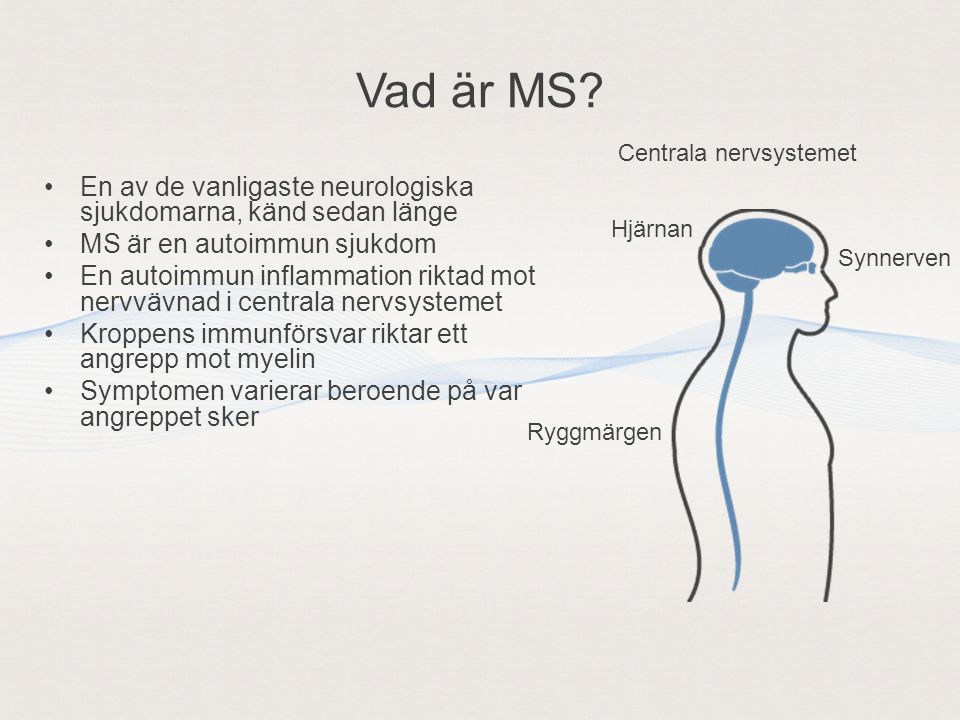 Vad är MS Centrala nervsystemet. En av de vanligaste neurologiska sjukdomarna, känd sedan länge. MS är en autoimmun sjukdom.