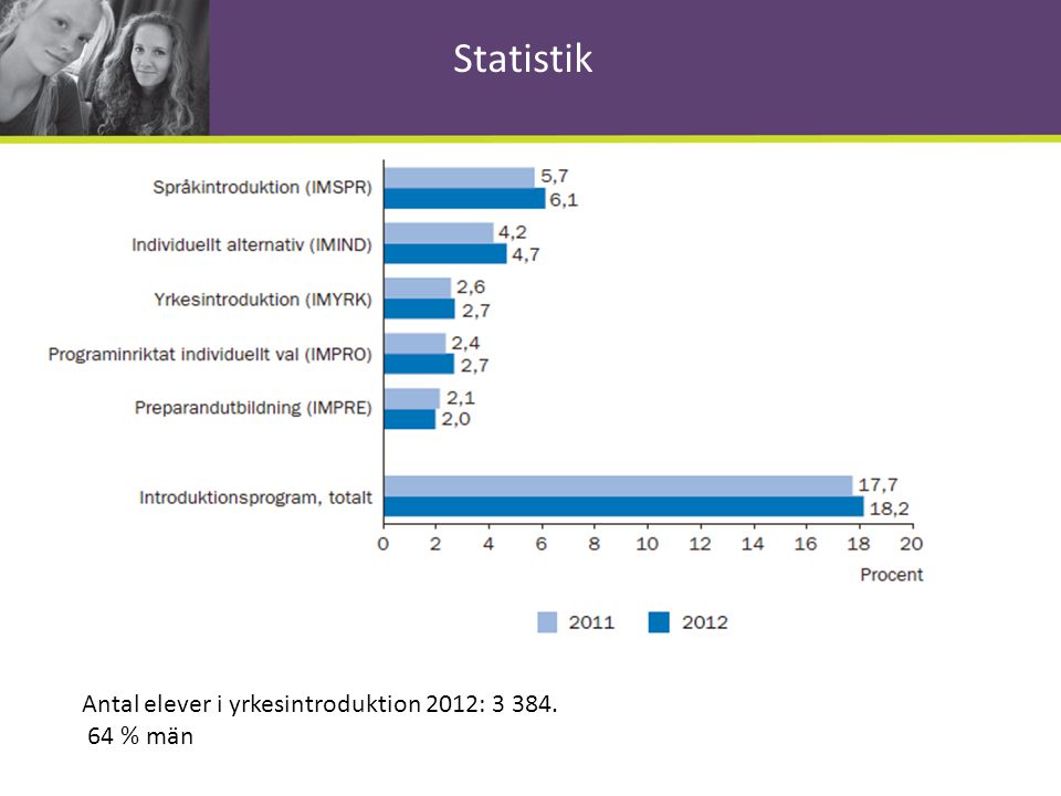 Statistik Antal elever i yrkesintroduktion 2012: % män
