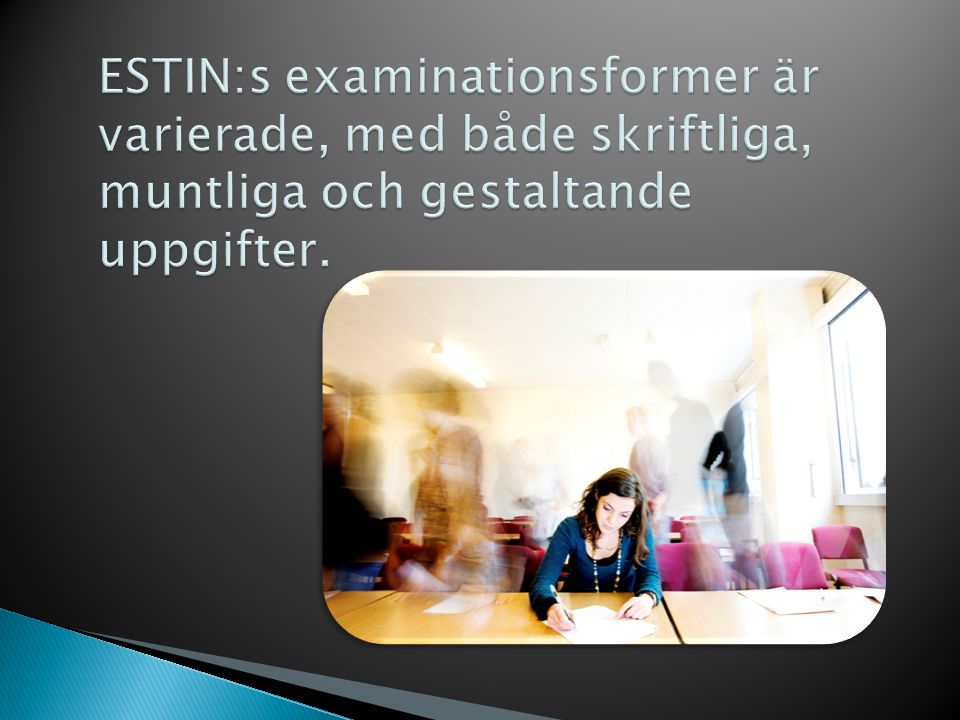 ESTIN:s examinationsformer är varierade, med både skriftliga, muntliga och gestaltande uppgifter.