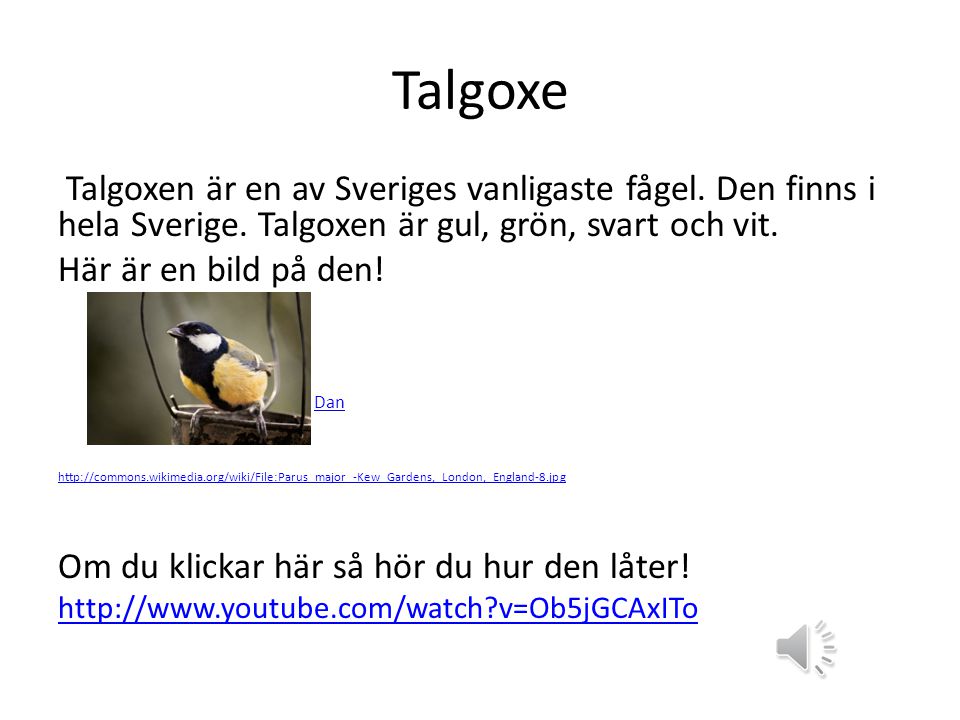 Talgoxe Talgoxen är en av Sveriges vanligaste fågel. Den finns i hela Sverige. Talgoxen är gul, grön, svart och vit.