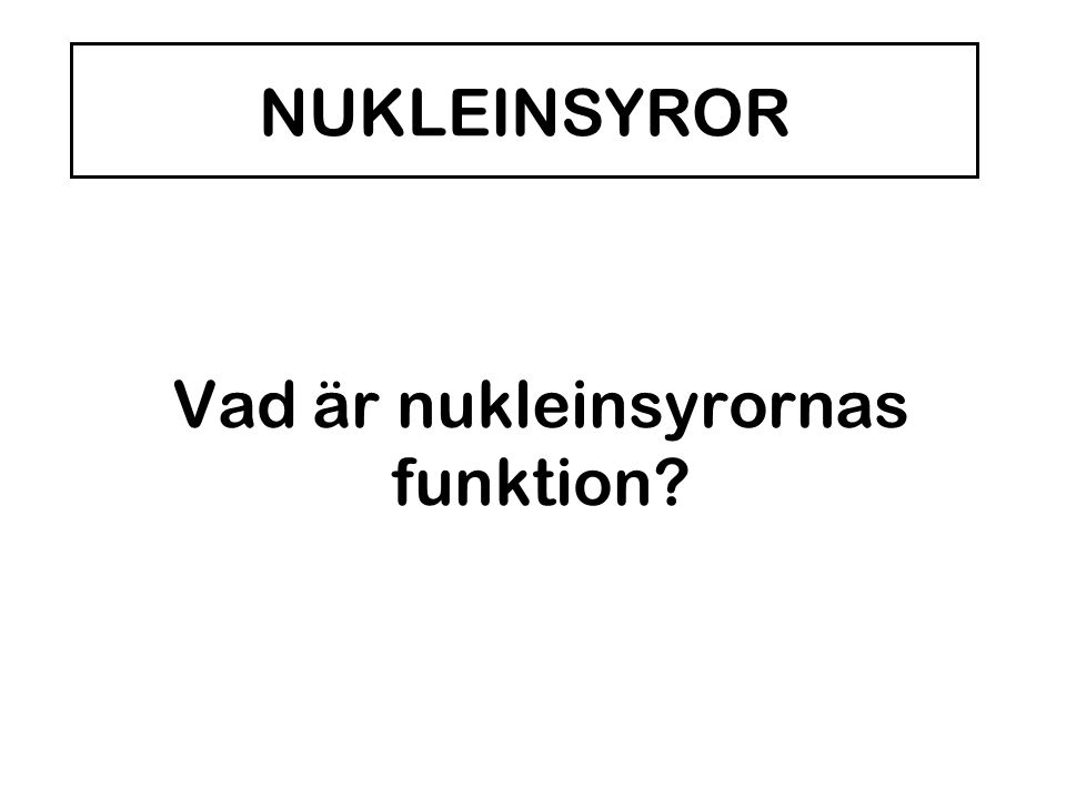 Vad är nukleinsyrornas funktion