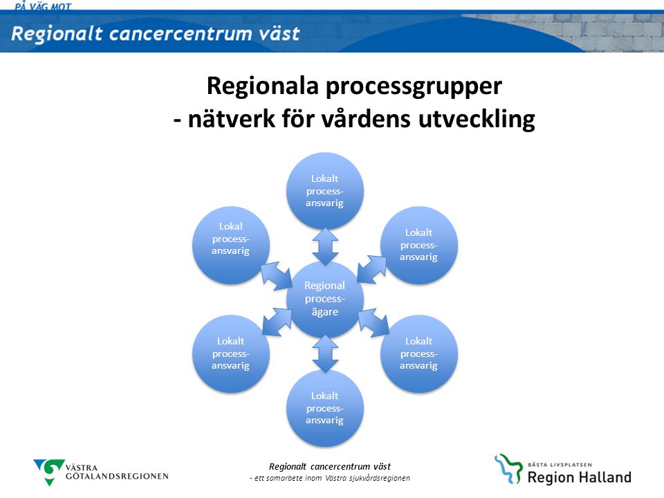 Regionala processgrupper - nätverk för vårdens utveckling