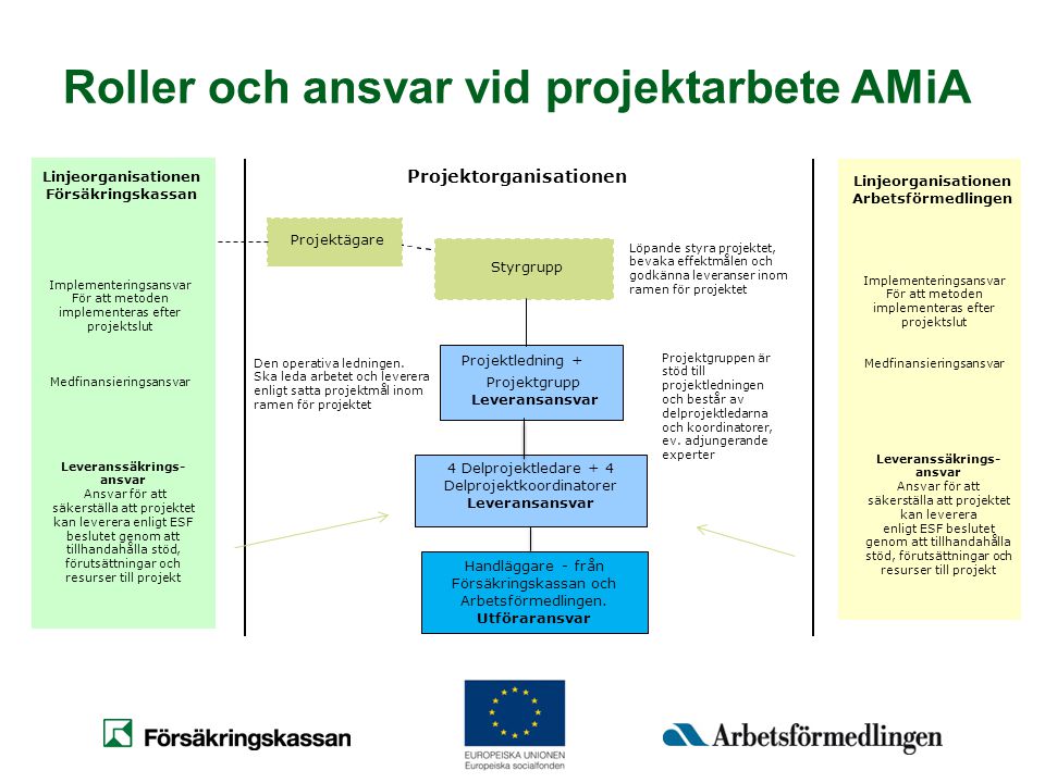Roller och ansvar vid projektarbete AMiA