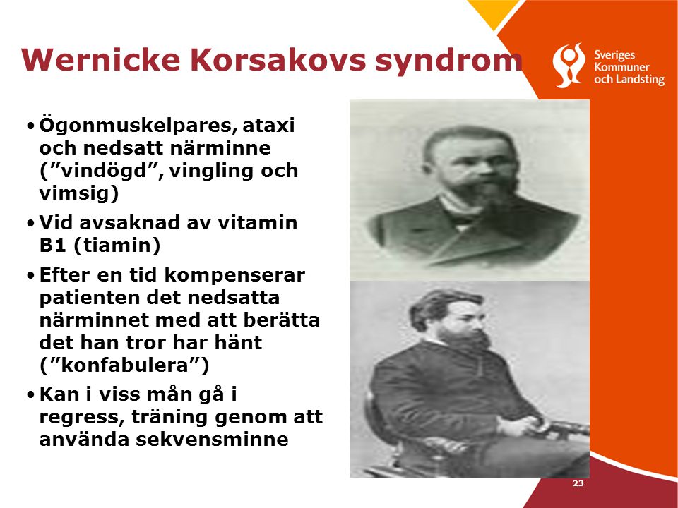 Wernicke Korsakovs syndrom