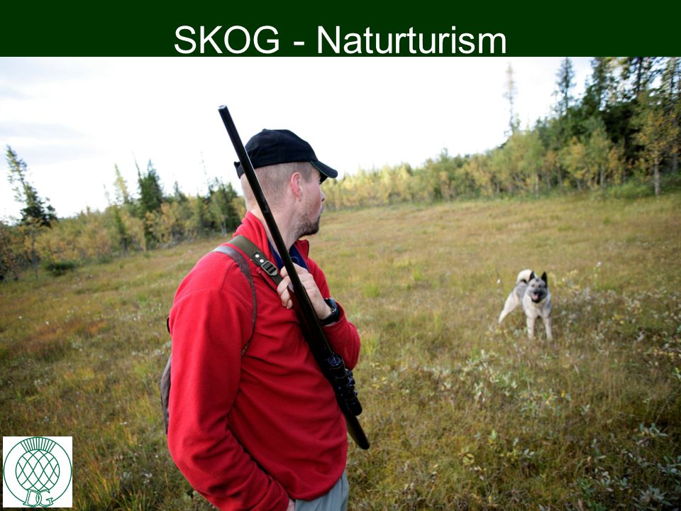 SKOG - Naturturism 10