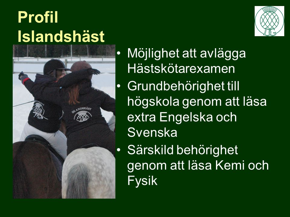 Profil Islandshäst Möjlighet att avlägga Hästskötarexamen