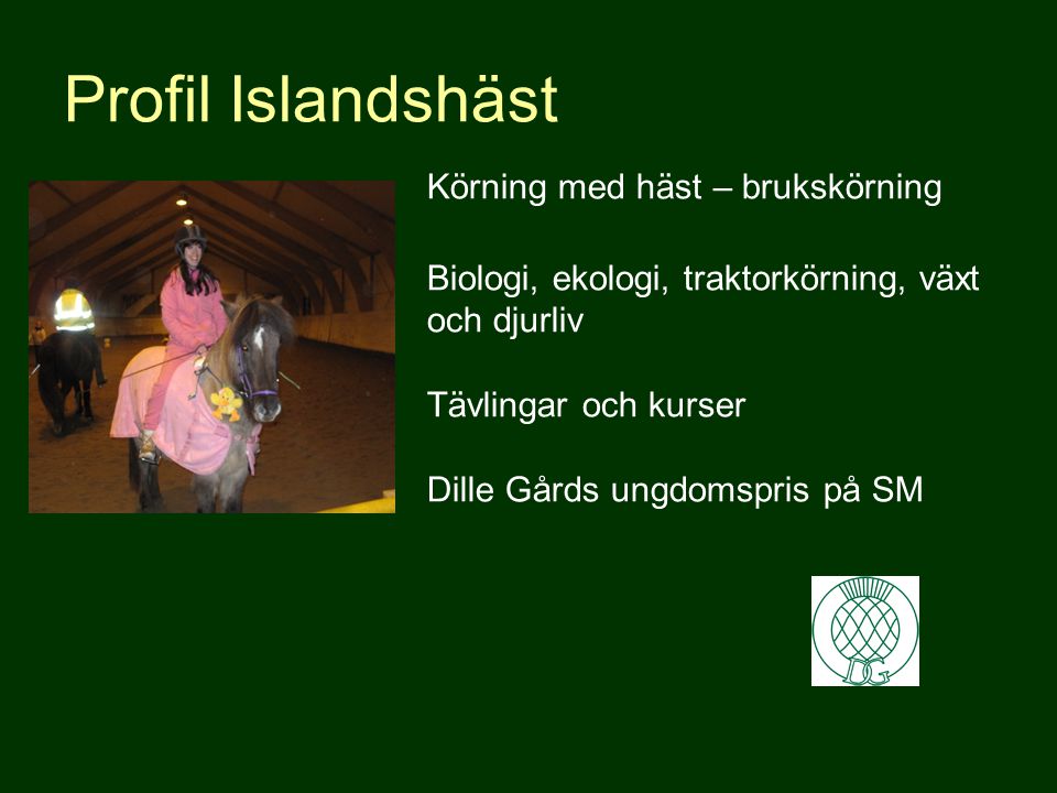 Profil Islandshäst. Körning med häst – brukskörning