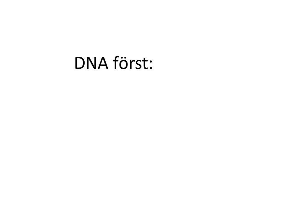 DNA först:
