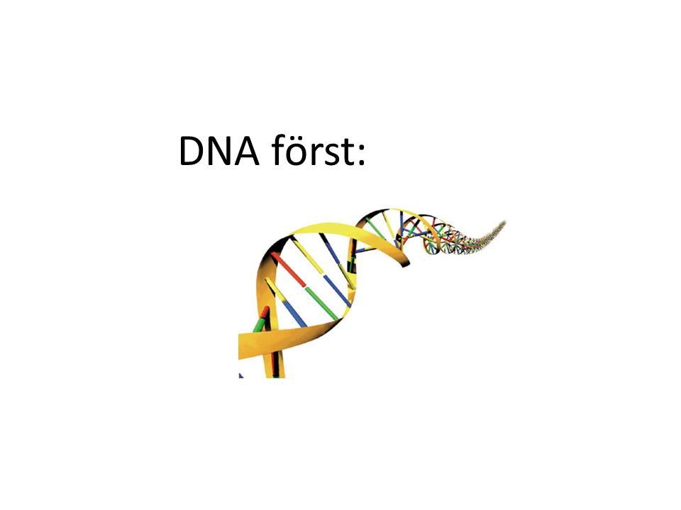 DNA först:
