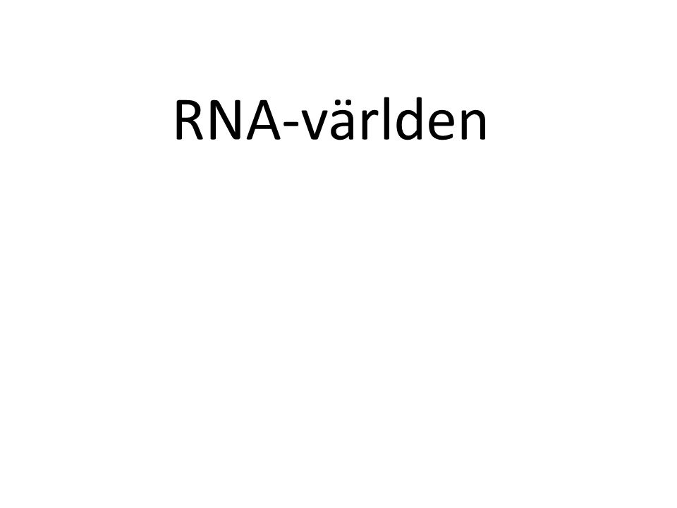 RNA-världen