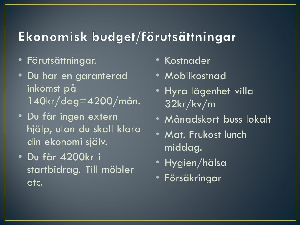 Ekonomisk budget/förutsättningar