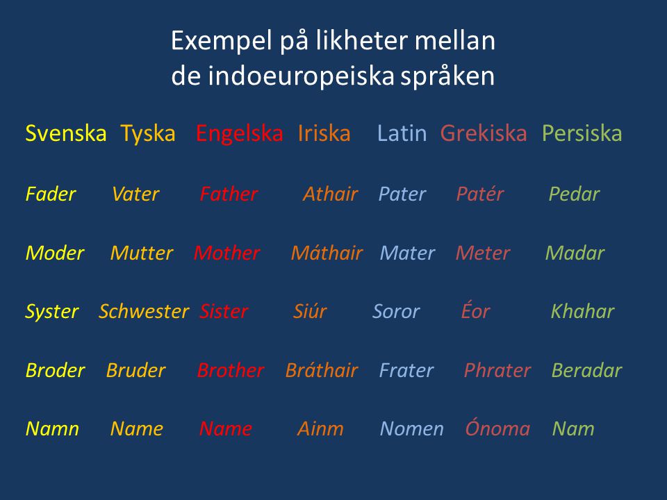 Exempel på likheter mellan de indoeuropeiska språken
