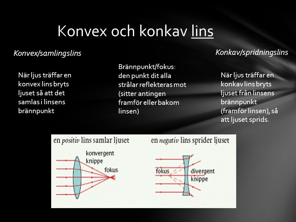 Konvex och konkav lins Konkav/spridningslins Konvex/samlingslins