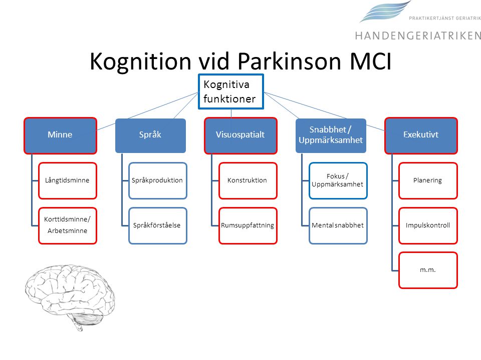 Kognition vid Parkinson MCI