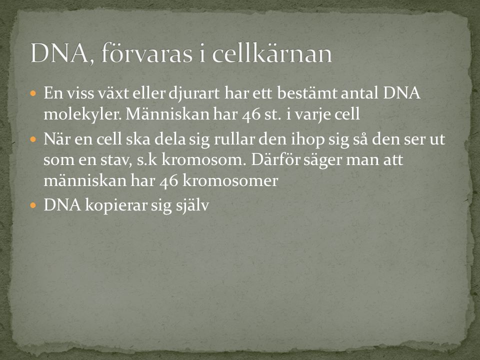 DNA, förvaras i cellkärnan