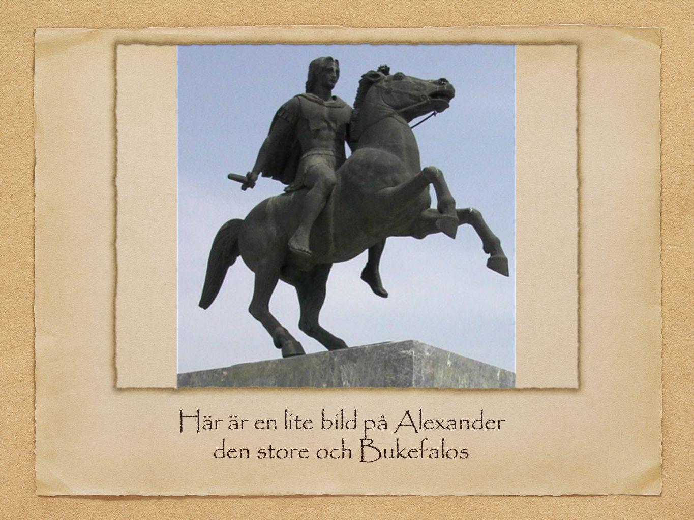 Här är en lite bild på Alexander den store och Bukefalos