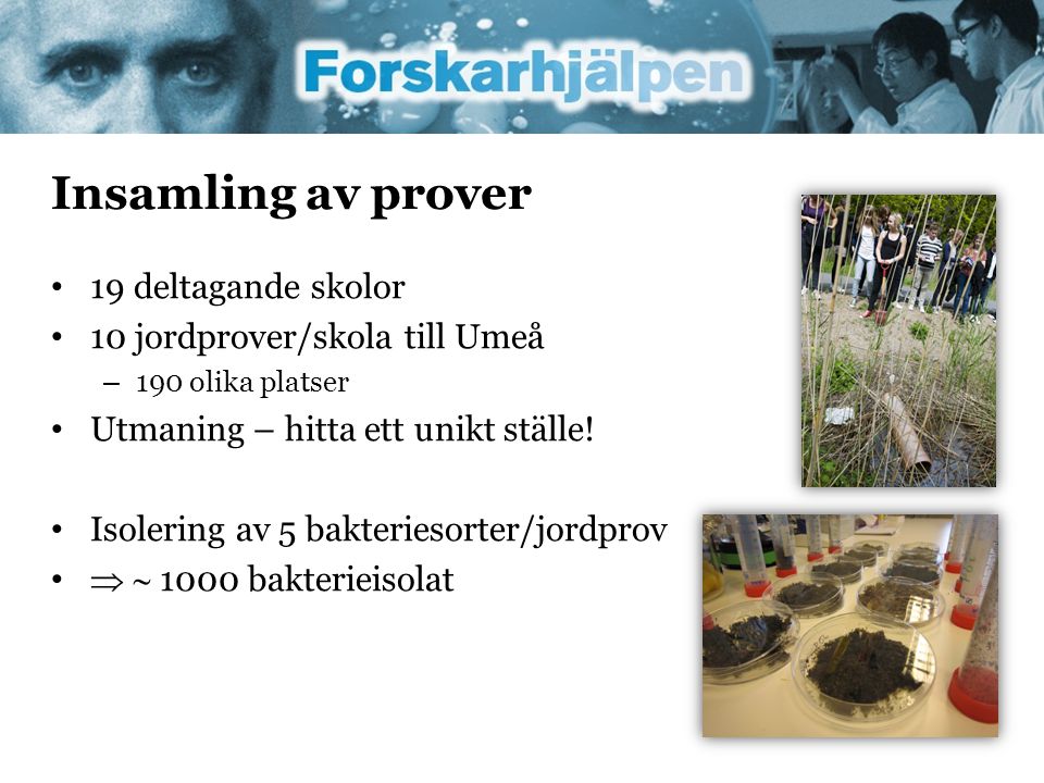 Insamling av prover 19 deltagande skolor 10 jordprover/skola till Umeå