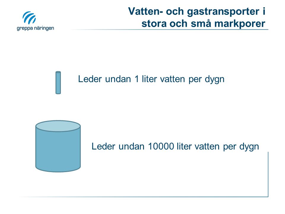 Vatten- och gastransporter i stora och små markporer