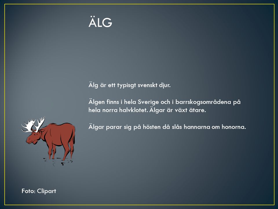 ÄLG Älg är ett typisgt svenskt djur.
