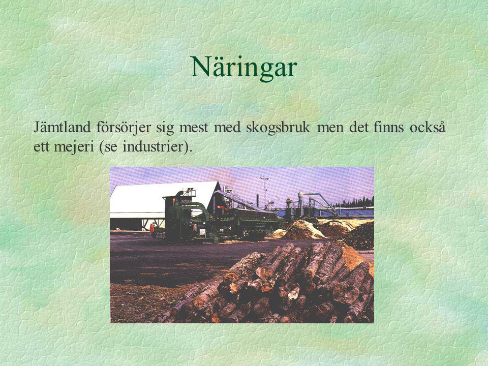 Näringar Jämtland försörjer sig mest med skogsbruk men det finns också ett mejeri (se industrier).