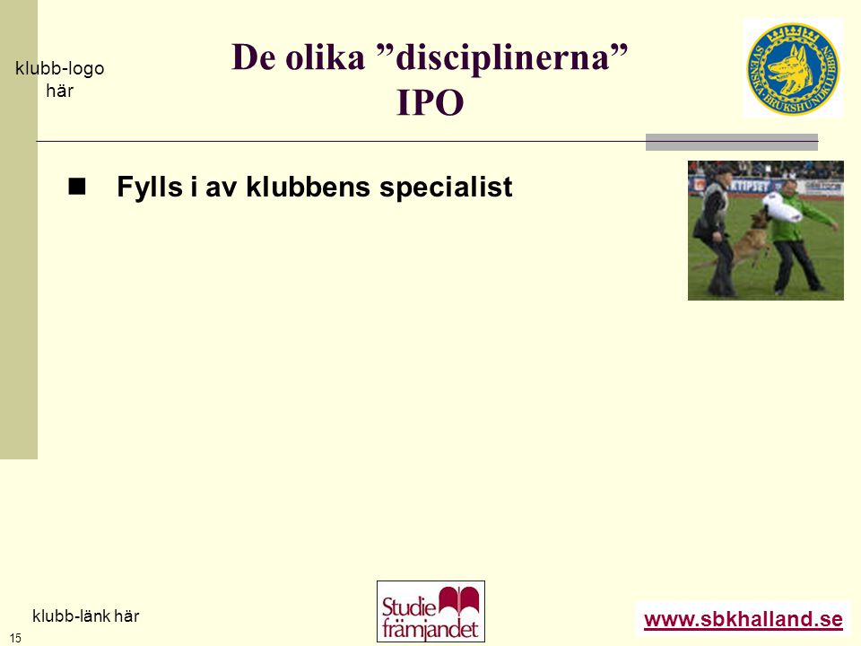 De olika disciplinerna IPO