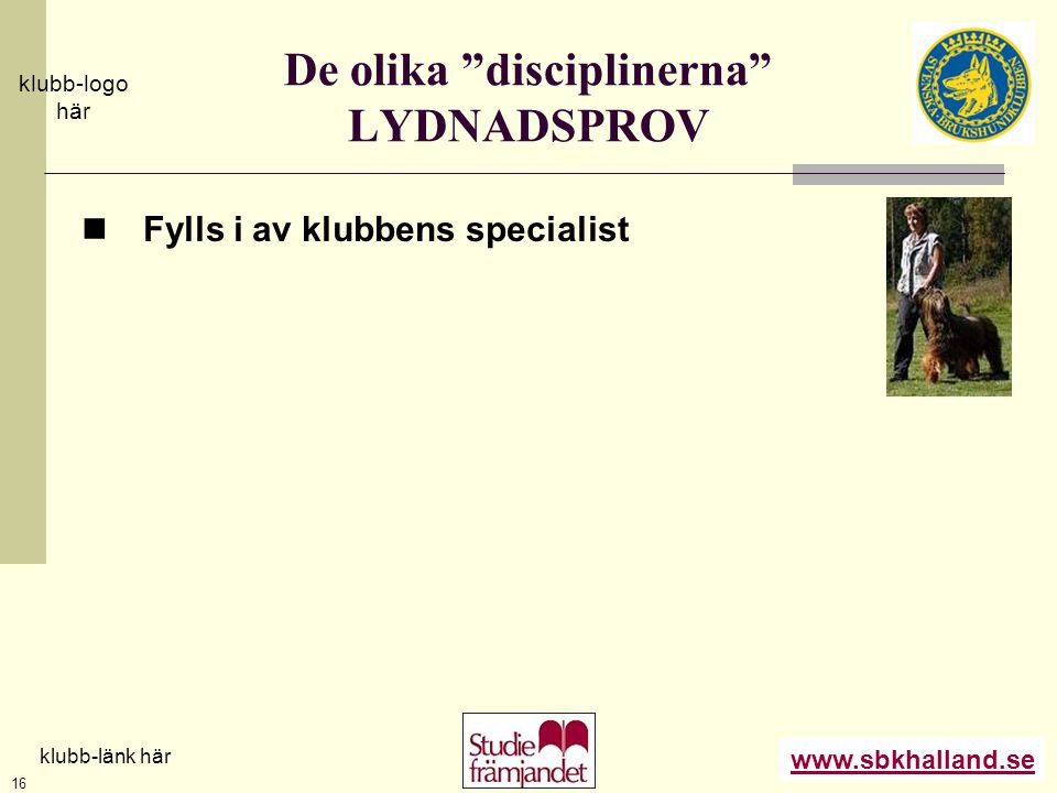 De olika disciplinerna LYDNADSPROV