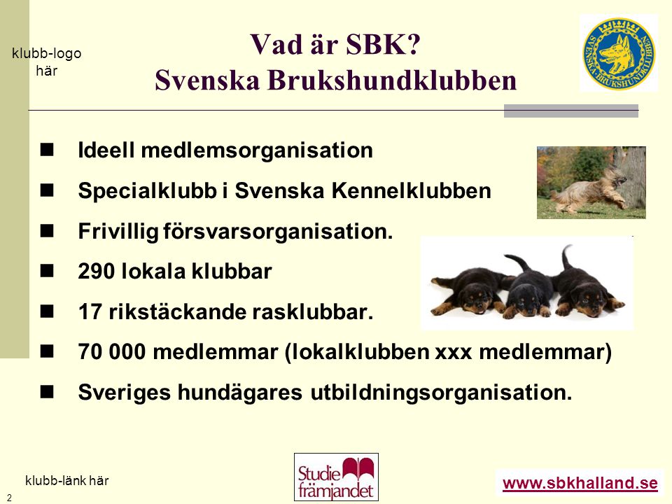 Vad är SBK Svenska Brukshundklubben