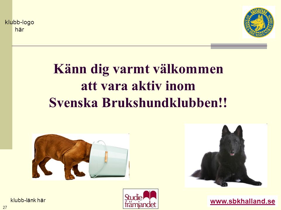 Känn dig varmt välkommen att vara aktiv inom Svenska Brukshundklubben!!