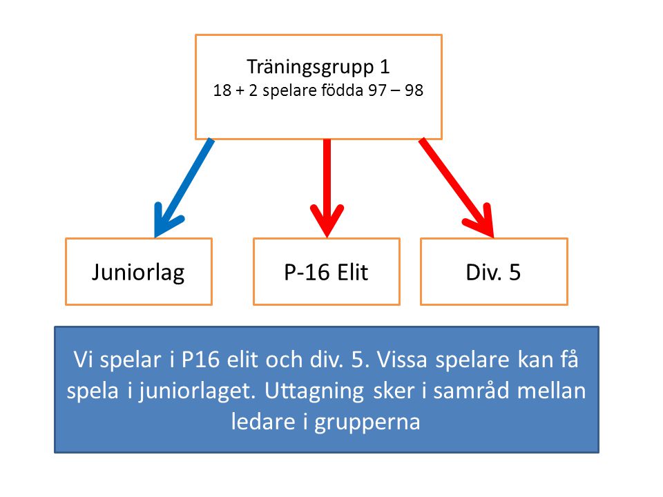 Träningsgrupp spelare födda 97 – 98. Juniorlag. P-16 Elit. Div. 5.