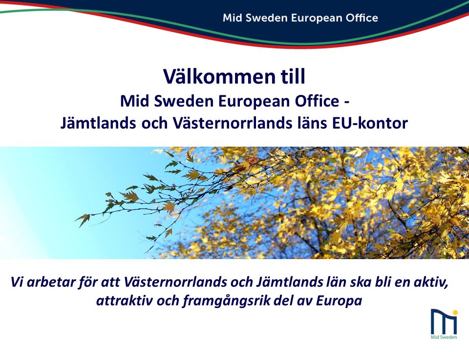 Välkommen till Mid Sweden European Office -