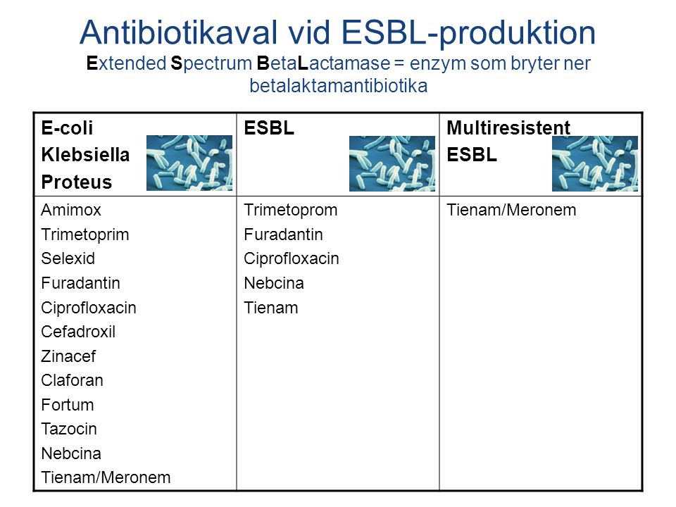 Antibiotikaval vid ESBL-produktion Extended Spectrum BetaLactamase = enzym som bryter ner betalaktamantibiotika