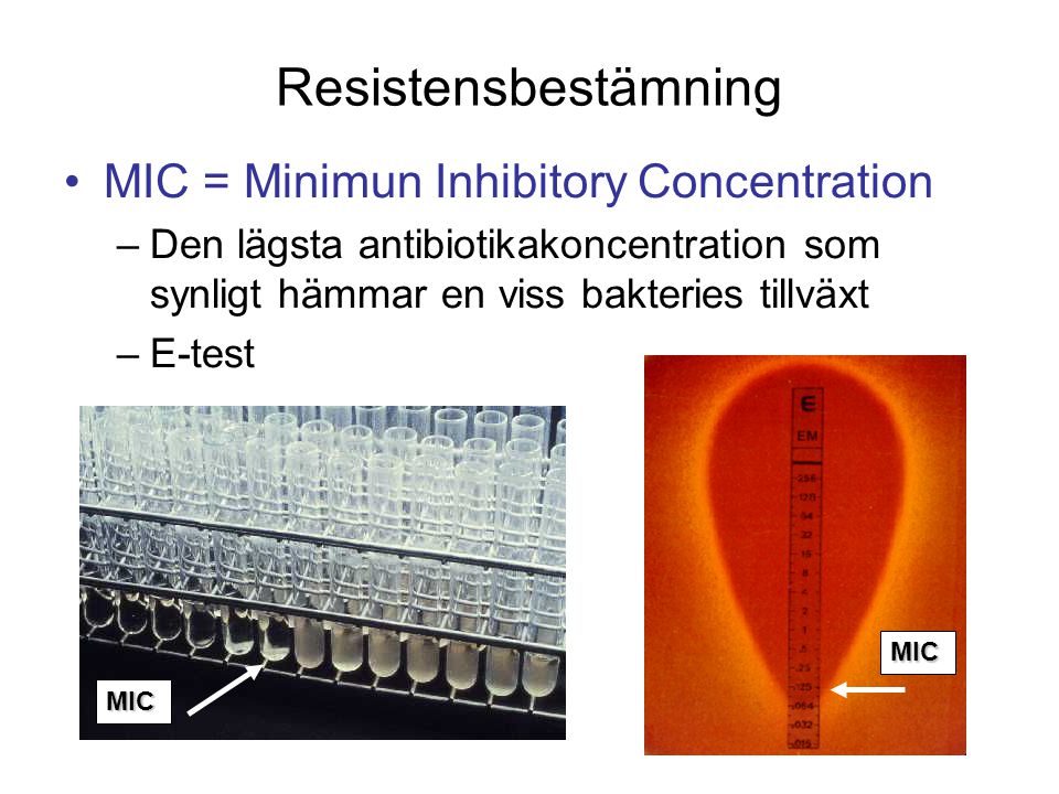 Resistensbestämning MIC = Minimun Inhibitory Concentration