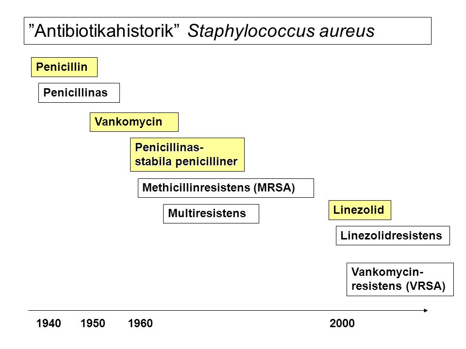 Antibiotikahistorik Staphylococcus aureus