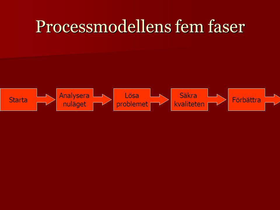 Processmodellens fem faser