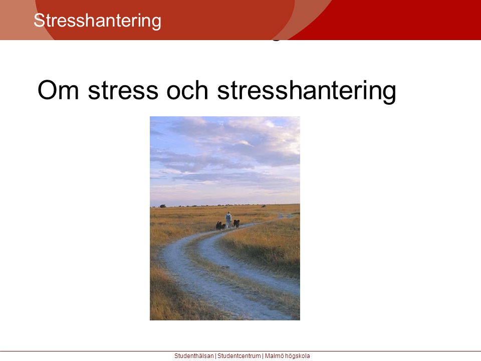 Om stress och stresshantering