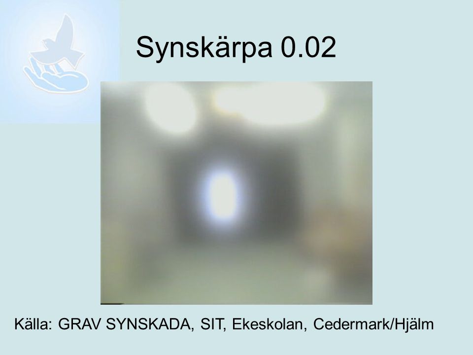Synskärpa 0.02 Källa: GRAV SYNSKADA, SIT, Ekeskolan, Cedermark/Hjälm