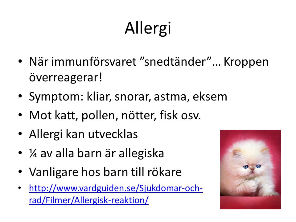 Allergi När immunförsvaret snedtänder … Kroppen överreagerar!