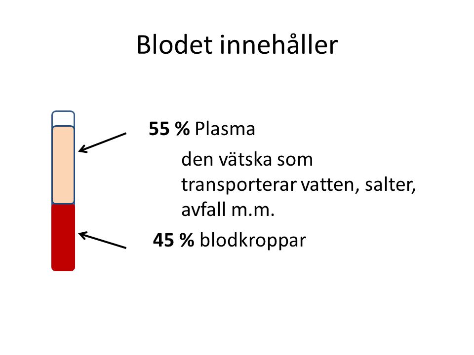 Blodet innehåller 55 % Plasma