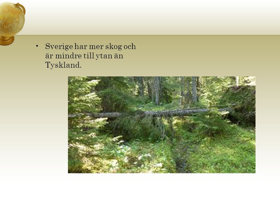 Sverige har mer skog och är mindre till ytan än Tyskland.