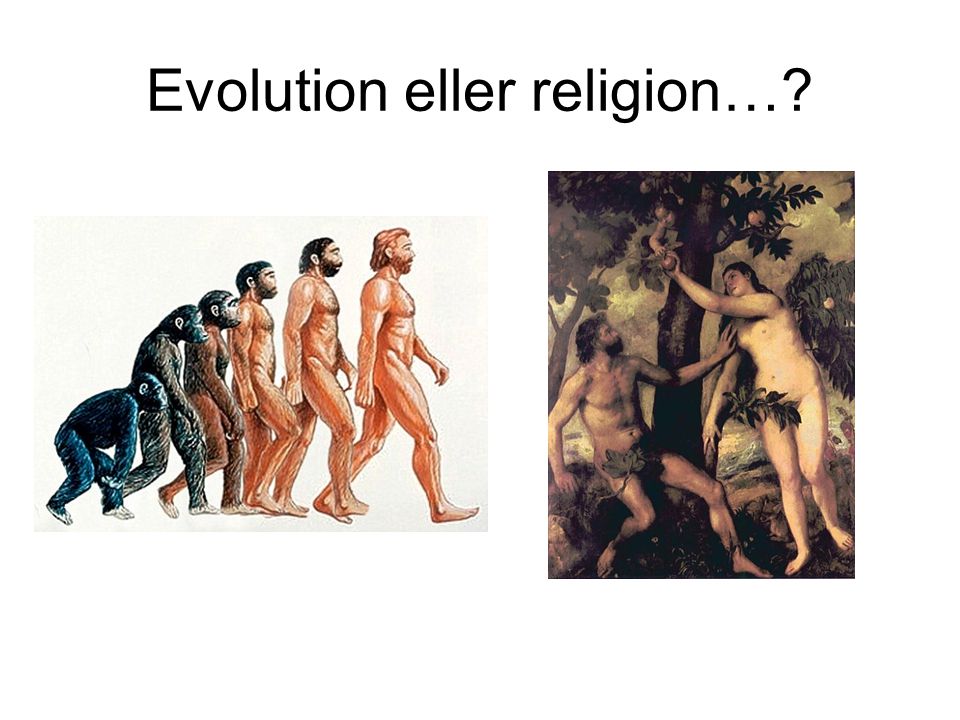 Evolution eller religion…