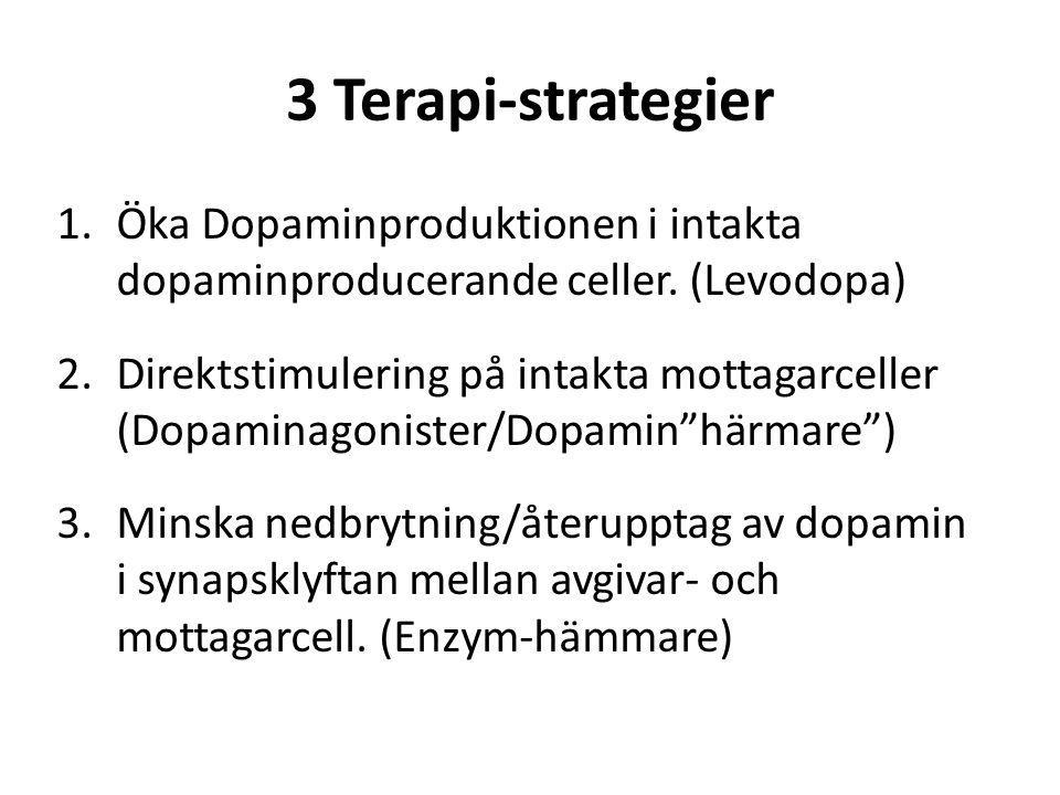 3 Terapi-strategier Öka Dopaminproduktionen i intakta dopaminproducerande celler. (Levodopa)
