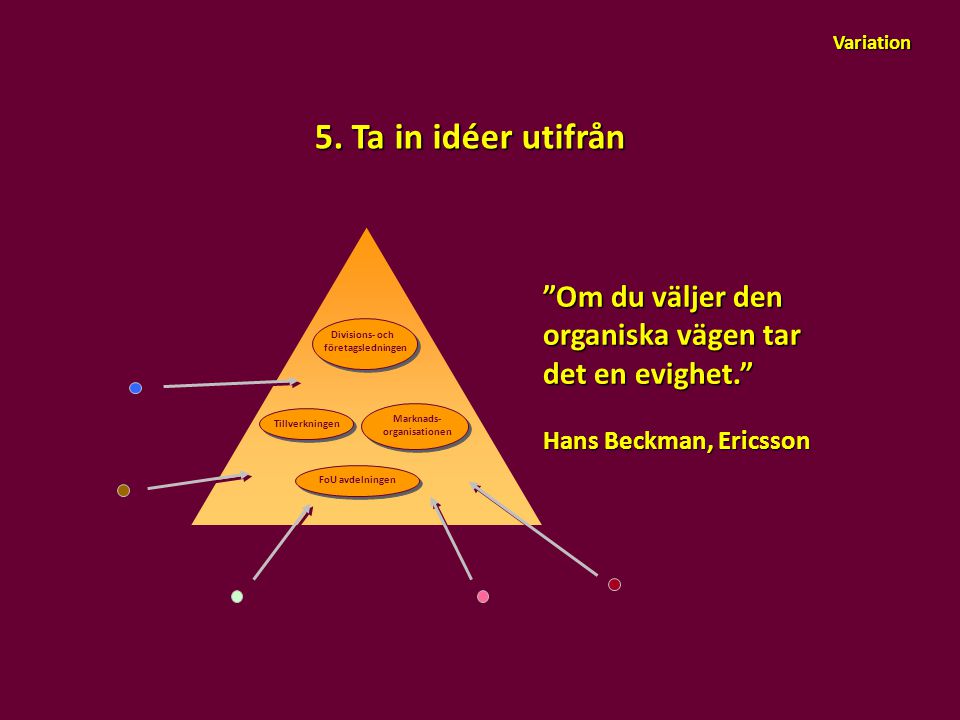Variation 5. Ta in idéer utifrån. Om du väljer den organiska vägen tar det en evighet. Hans Beckman, Ericsson.
