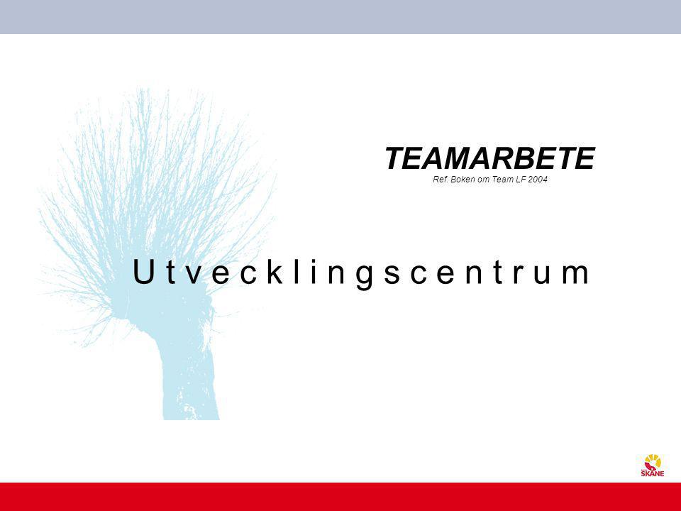 TEAMARBETE Ref. Boken om Team LF 2004