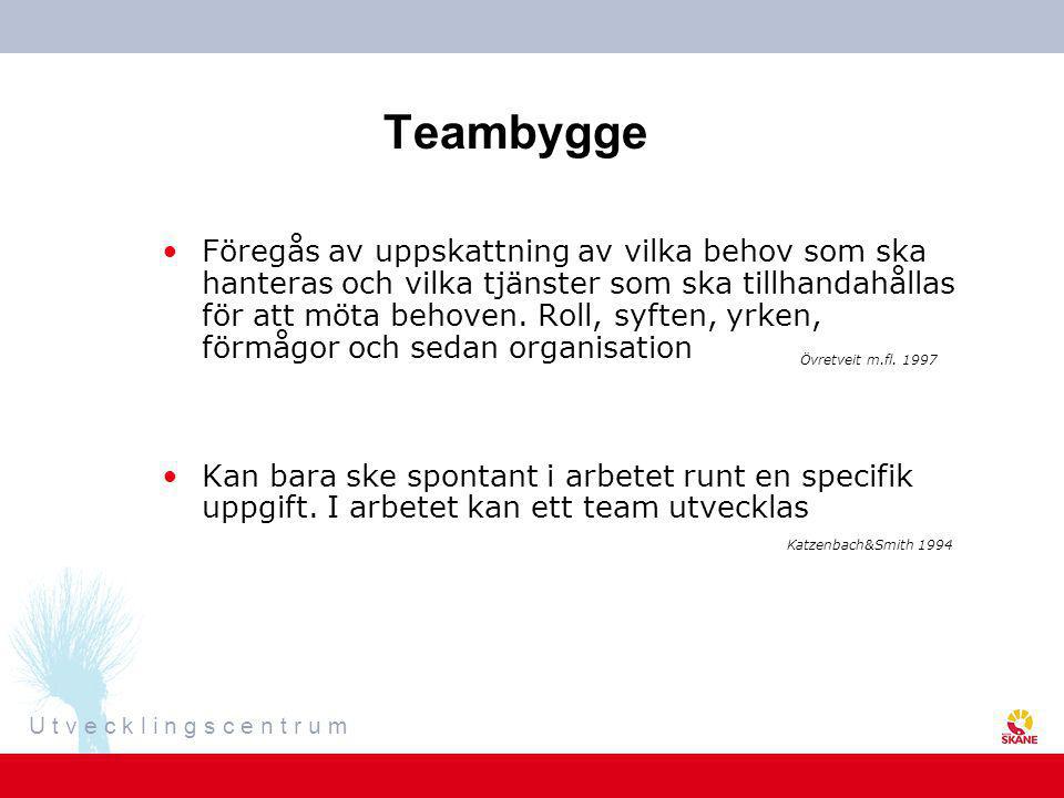 Teambygge