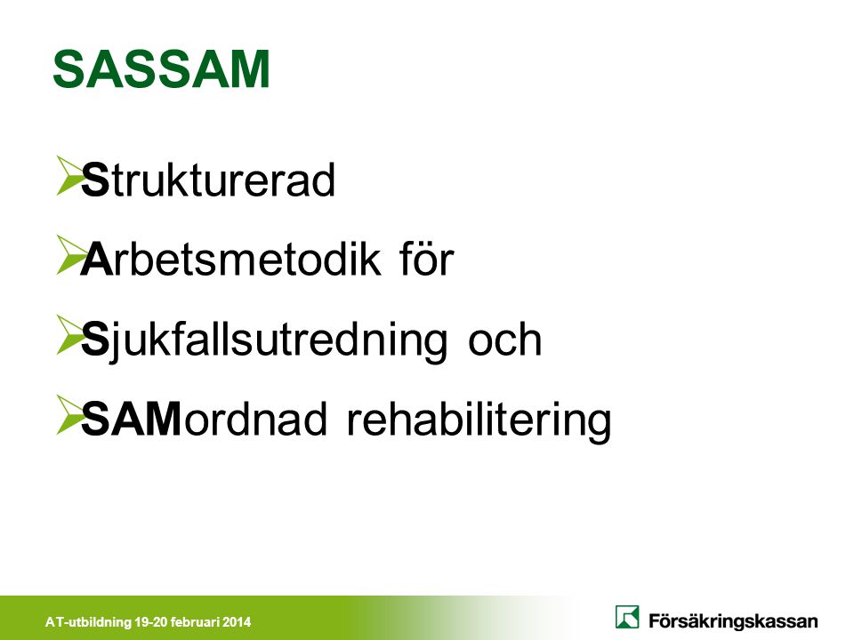 SASSAM Strukturerad Arbetsmetodik för Sjukfallsutredning och