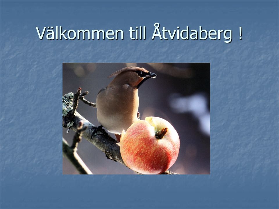 Välkommen till Åtvidaberg !